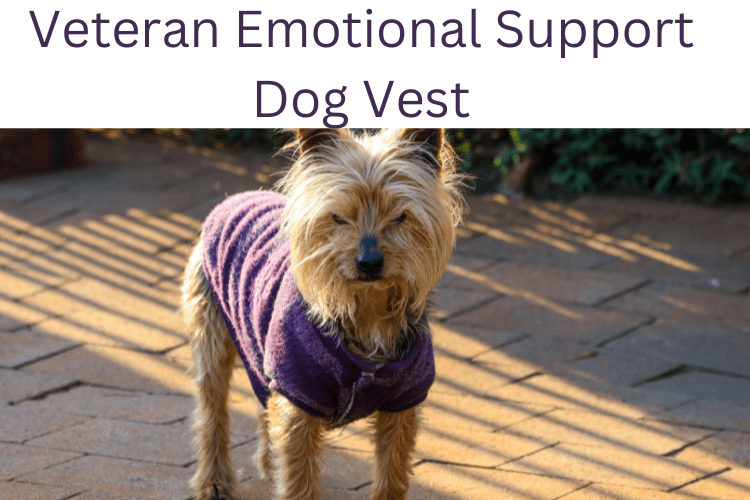 Veteran Emotional Support Dog Vest